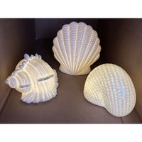 Set of 3 Illuminated Porcelain Shells by Valerie starfish, mutex, Scottish Bonne